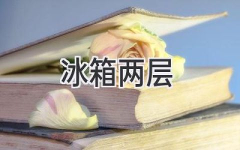 双层冰箱：空间利用的艺术与选择指南