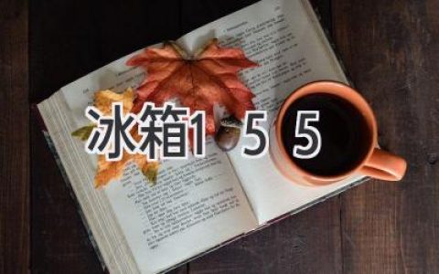 探索冰箱的奥秘：155升的容量如何满足你的需求？