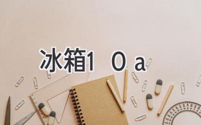 冰箱 10a