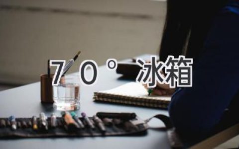 深度解析：超低温冷冻技术的“秘密武器” -70°冰箱的应用与优势