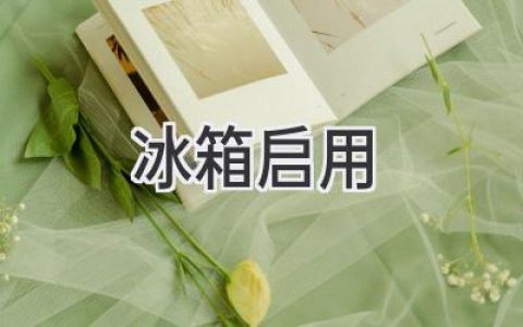 新冰箱开箱！从搬运到使用，一步步带你搞定