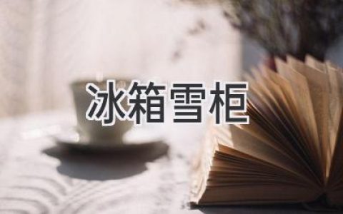 冰箱雪柜选购指南：如何找到最适合你的冷藏利器？