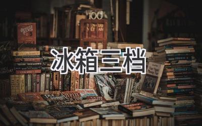 冰箱三档