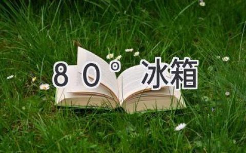 超低温守护者：-80°冰箱的奥秘与应用