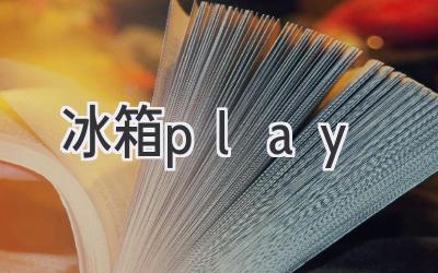 冰箱play