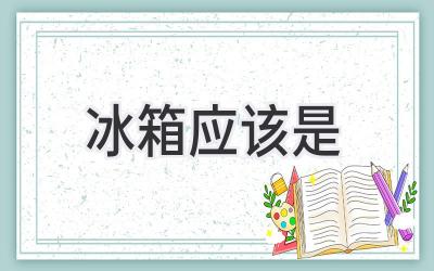 冰箱应该是