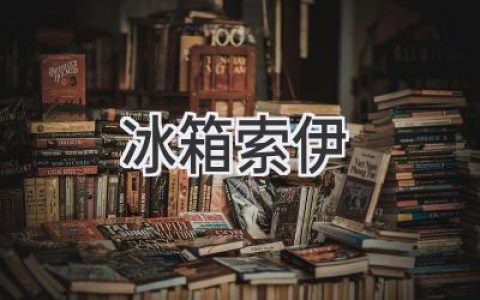 冰箱里的秘密：解锁“索伊”背后的故事