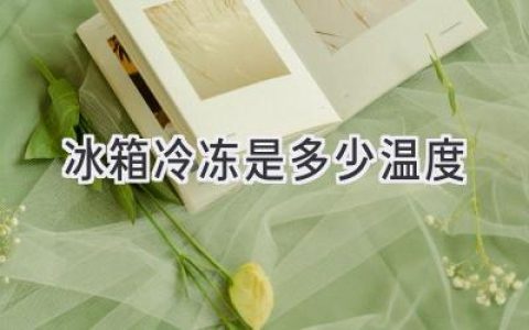 冰箱冷冻室温度大揭秘：如何延长食物保鲜时间