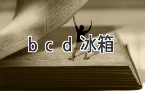 冰箱界的口碑之选：BCD 冰箱值得入手吗？