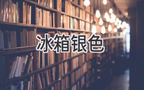 冰箱选购指南：银色潮流与实用功能的完美融合