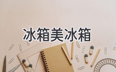 冰箱美冰箱