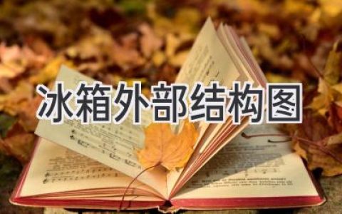 冰箱结构全解析：从外观到内部，一文读懂你的冷藏秘诀！