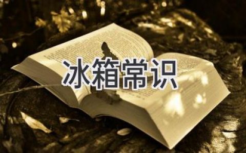 冰箱使用技巧大揭秘：从冷藏到冷冻，全方位提升你的厨房效率