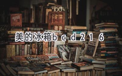 美的 冰箱 bcd 216