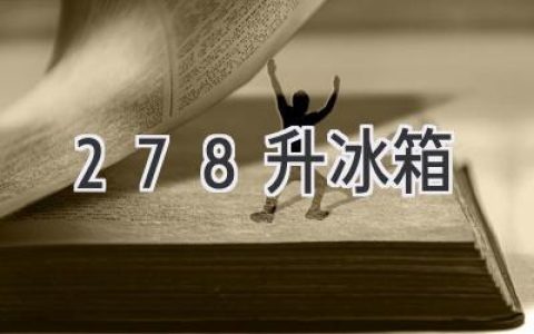 278 升，冷藏你的幸福：选购指南与实用技巧