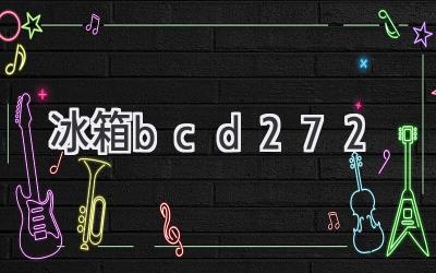 冰箱bcd272