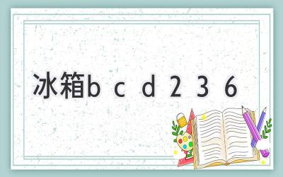 冰箱bcd236