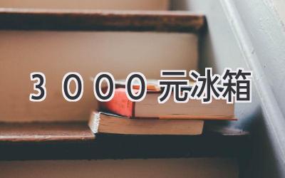 3000元冰箱