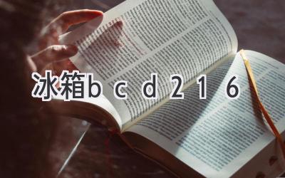 冰箱bcd216