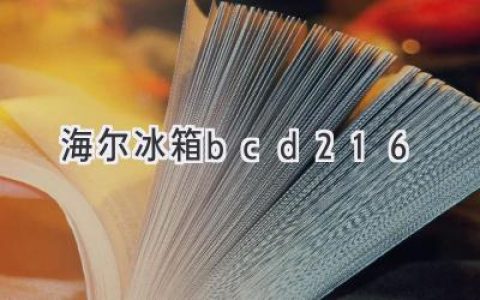 海尔BCD-216冰箱：性能与空间的完美平衡