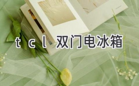 TCL双门冰箱：冷藏保鲜，轻松生活