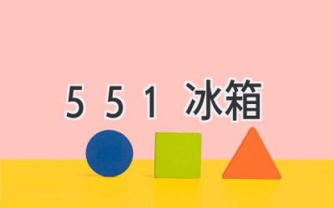 551 冰箱：你值得信赖的冷藏守护者