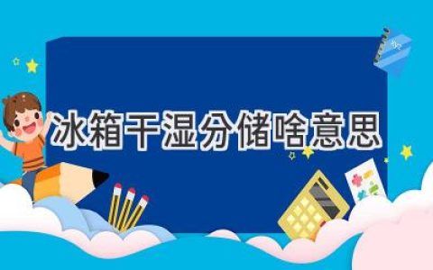 冰箱里的“干湿分离”：让食物更美味，更健康！