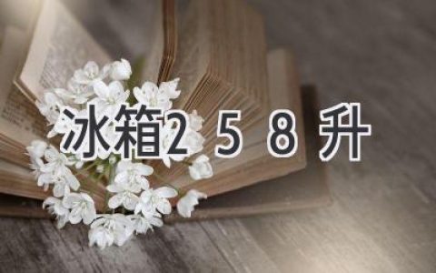 258升冰箱：适合你的家庭吗？探索容量和功能的完美平衡