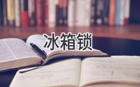 冰箱安全守护者：如何选购最适合你的冰箱锁？