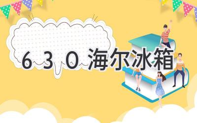 630海尔冰箱