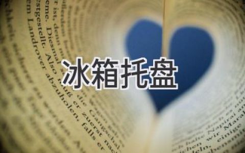 冰箱里那些不可或缺的“小帮手”：如何选择和使用冰箱托盘？