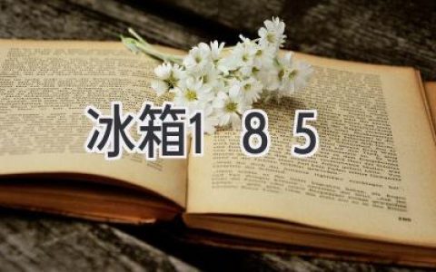 冰箱185：探秘冷藏背后的科技与艺术