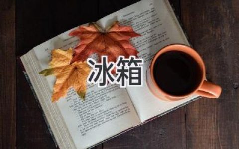 冰箱选购指南：从功能到材质，帮你找到最适合你的冷藏神器