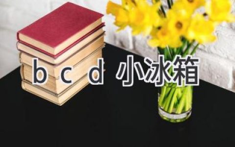 BCD冰箱：选购指南与使用技巧