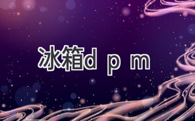 冰箱dpm