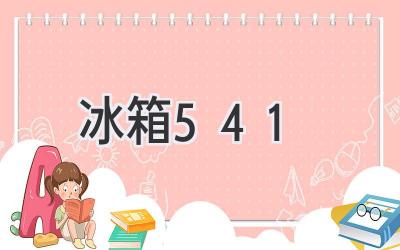 冰箱541