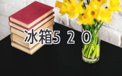 冰箱520：解读这股网络热潮背后的秘密