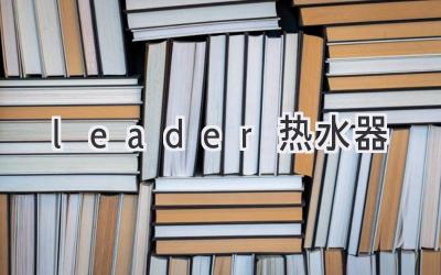 leader热水器