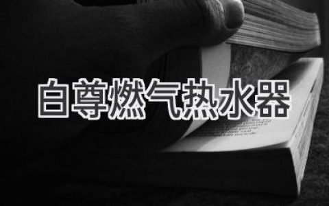 舒适沐浴，温暖相伴：揭秘白尊燃气热水器的高效与节能