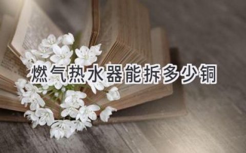 揭秘燃气热水器内部：隐藏的“宝藏”值多少钱？