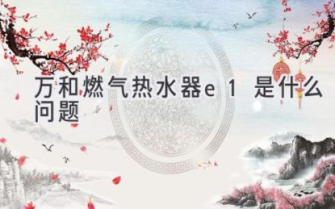 万和燃气热水器故障代码E1：原因分析及解决方法