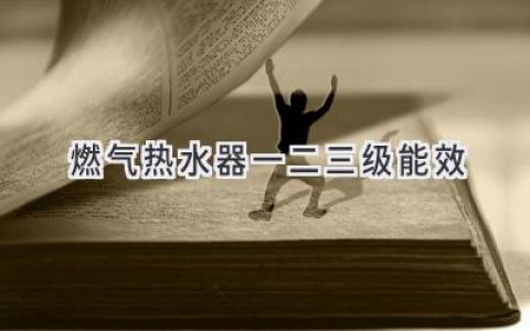 燃气热水器能效等级揭秘：哪种更适合你？