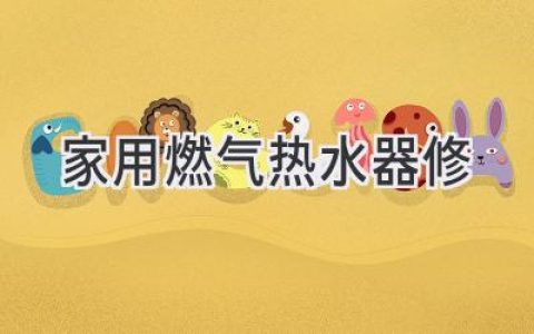 家用燃气热水器故障诊断与维修指南：省钱又省心！