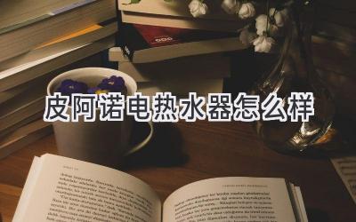 皮阿诺电热水器怎么样