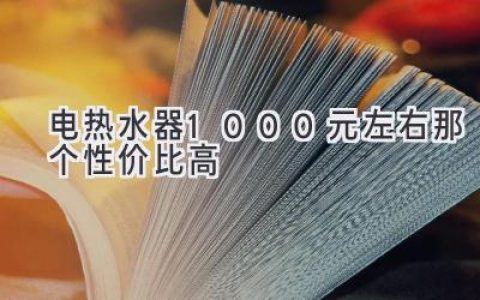 1000元预算，哪款电热水器最值得入手？