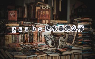 gasbo热水器怎么样