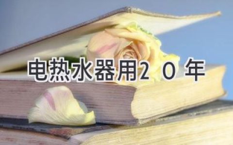 电热水器：延长使用寿命，20年不是梦！