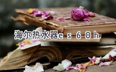 海尔热水器 es60h