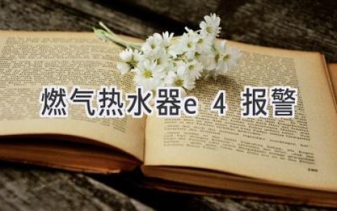 燃气热水器故障代码E4：解读原因与解决方法