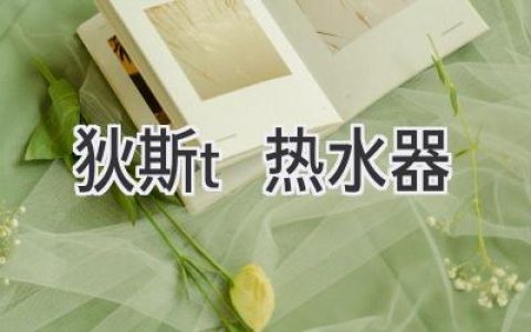 狄斯t热水器：让生活更舒适，更节能的秘密武器